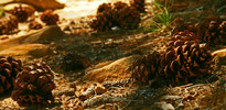 photo thumbnail #11