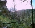 photo thumbnail #10