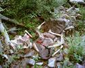 photo thumbnail #14