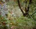 photo thumbnail #15