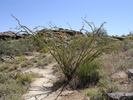 photo thumbnail #3