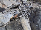 photo thumbnail #10