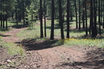 photo thumbnail #13