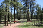 photo thumbnail #15