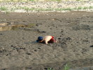 photo thumbnail #4