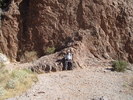 photo thumbnail #7