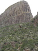 photo thumbnail #13