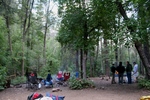 photo thumbnail #3