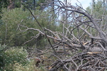 photo thumbnail #9