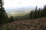 photo thumbnail #8