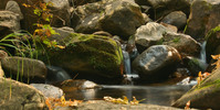 photo thumbnail #7