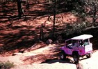 photo thumbnail #6