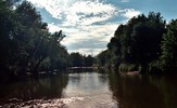 photo thumbnail #9