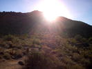 photo thumbnail #1