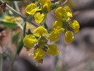 photo thumbnail #15