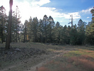 photo thumbnail #2