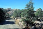 photo thumbnail #6