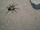 photo thumbnail #3