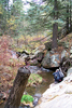 photo thumbnail #3