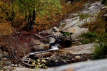 photo thumbnail #12