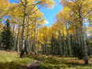 photo thumbnail #5