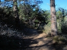 photo thumbnail #5