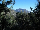 photo thumbnail #6
