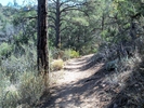 photo thumbnail #8