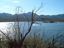 photo thumbnail #9