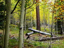 photo thumbnail #11