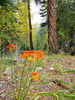 photo thumbnail #12