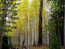 photo thumbnail #15
