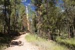 photo thumbnail #2