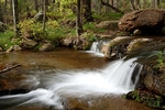 photo thumbnail #13