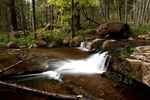 photo thumbnail #14