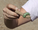 photo thumbnail #5