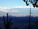 photo thumbnail #5