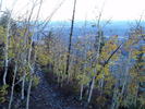 photo thumbnail #6