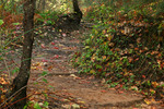 photo thumbnail #11