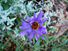 photo thumbnail #14
