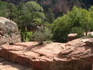 photo thumbnail #1