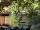 photo thumbnail #10