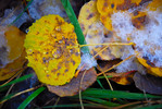 photo thumbnail #10