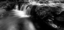 photo thumbnail #13