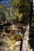 photo thumbnail #15