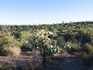 photo thumbnail #1