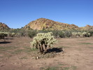 photo thumbnail #6