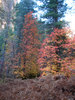 photo thumbnail #12