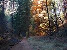 photo thumbnail #14