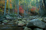 photo thumbnail #2